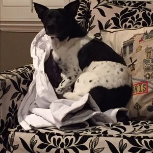 Meet your Posher, Maretta