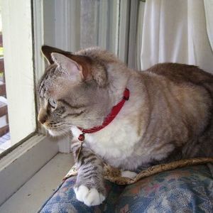 Meet your Posher, Janie