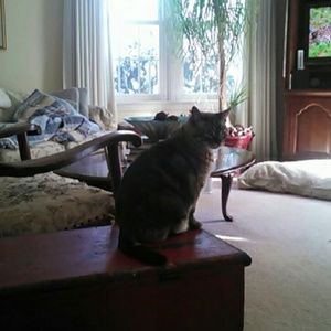 Meet your Posher, Mary