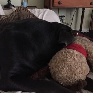 Meet your Posher, Cheryl