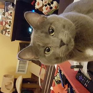 Meet your Posher, Traci