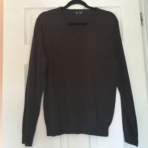 JCREW | Merino Wool V-neck sweater