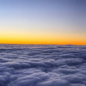 Meet your Posher, Elise