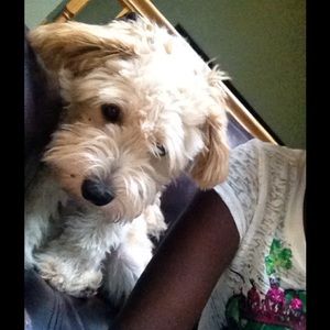 Meet your Posher, Tamera