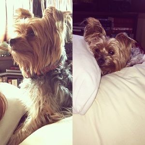 Meet your Posher, Julianne