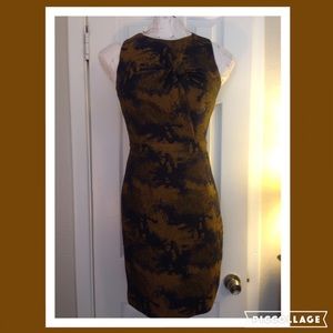 Cynthia Steffe burnt umber and navy sheath dress