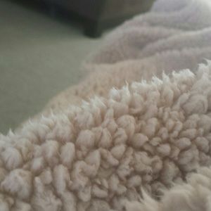 Meet your Posher, Jeni