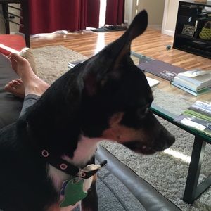 Meet your Posher, Jane