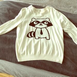 Raccoon Sweater