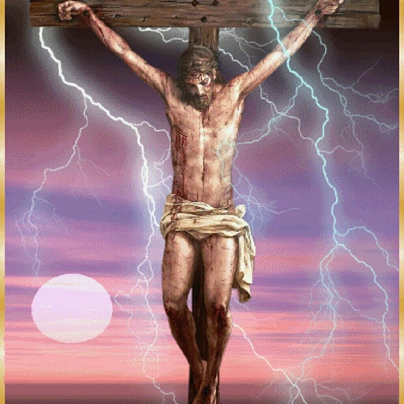 Meet your Posher, Brie - Picture 1 of 1