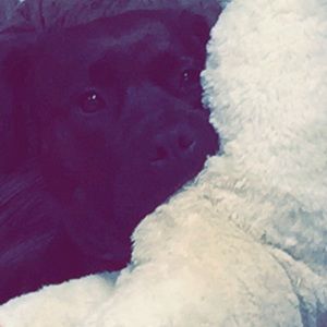 Meet your Posher, Janellr