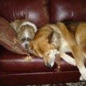 Meet your Posher, Janet