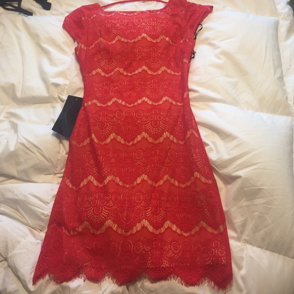 Lace BEBE dress