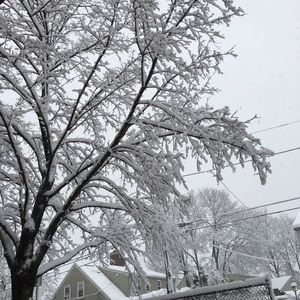 Meet your Posher, Ouhani