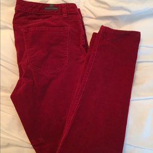 LC Lauren Conrad cords
