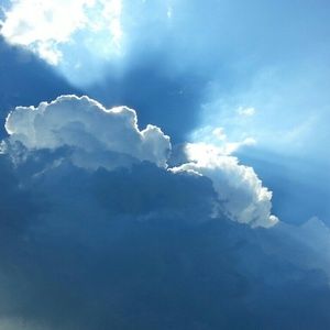 Meet your Posher, Tamara