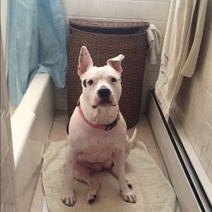 Meet your Posher, Lindsey