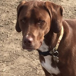 Meet your Posher, Tina