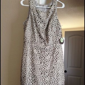 NWOT Size 8 Eva Franco Saldana Dress (Almond Joy)