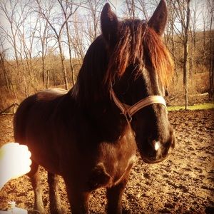 Meet your Posher, Elsa