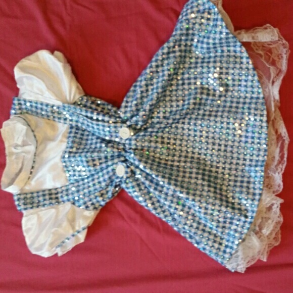 Dorothy costume  (wizard of oz)
