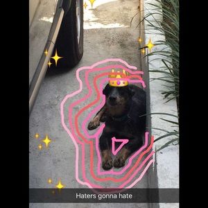 Meet your Posher, Celina