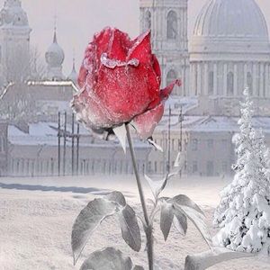 Meet your Posher, Cheri