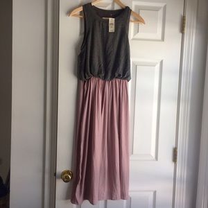 Ann Taylor LOFT Dress