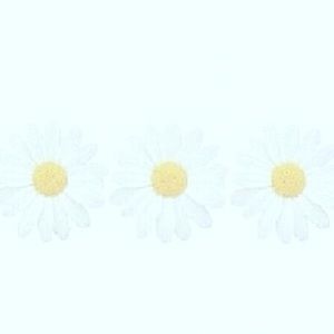 Meet your Posher, Giselle