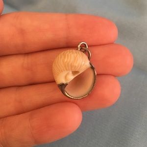 Shell pendant