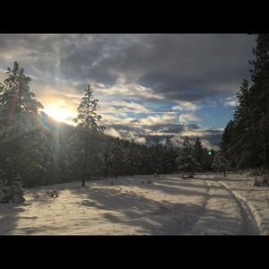 Meet your Posher, Phoebe