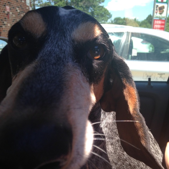 Meet your Posher, Lynn - Picture 1 of 1