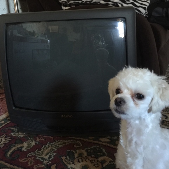 25" Sanyo Tv - Picture 1 of 3