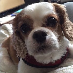 Meet your Posher, Nina