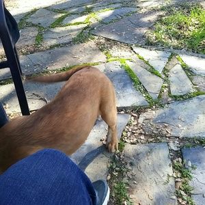 Meet your Posher, Heatherly