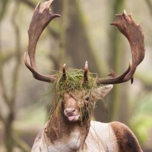 Meet your Posher, Sarah beth