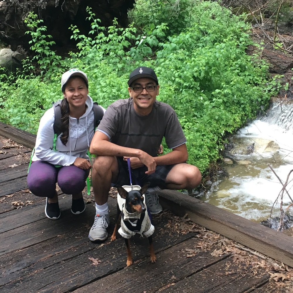 Meet your posher, Mimi - Picture 2 of 8