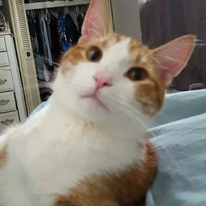 Meet your Posher, Nadia