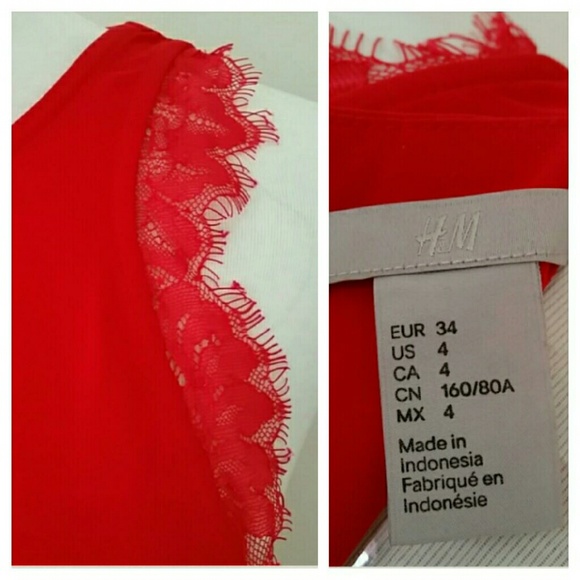 Eyelash Lace Trimmed Dress - Picture 4 of 4