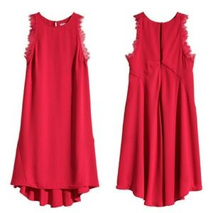 Eyelash Lace Trimmed Dress