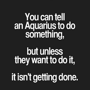 Meet your Posher, Ftyna