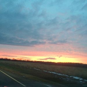 Meet your Posher, Cyn