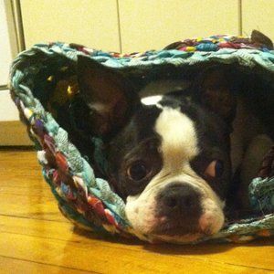 Meet your Posher, Hannah