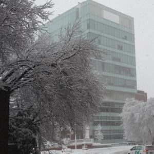 Meet your Posher, Cheryl