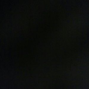 Meet your Posher, Raelene