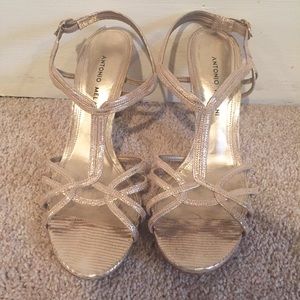 Antonio Melani Heels (Gold)