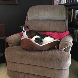 Meet your Posher, Karen