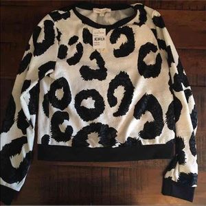 Cow print sweater