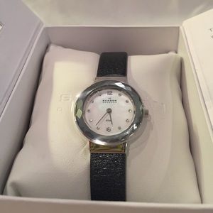 Skagen Classic Wristwatch