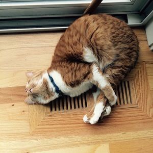 Meet your Posher, Claire